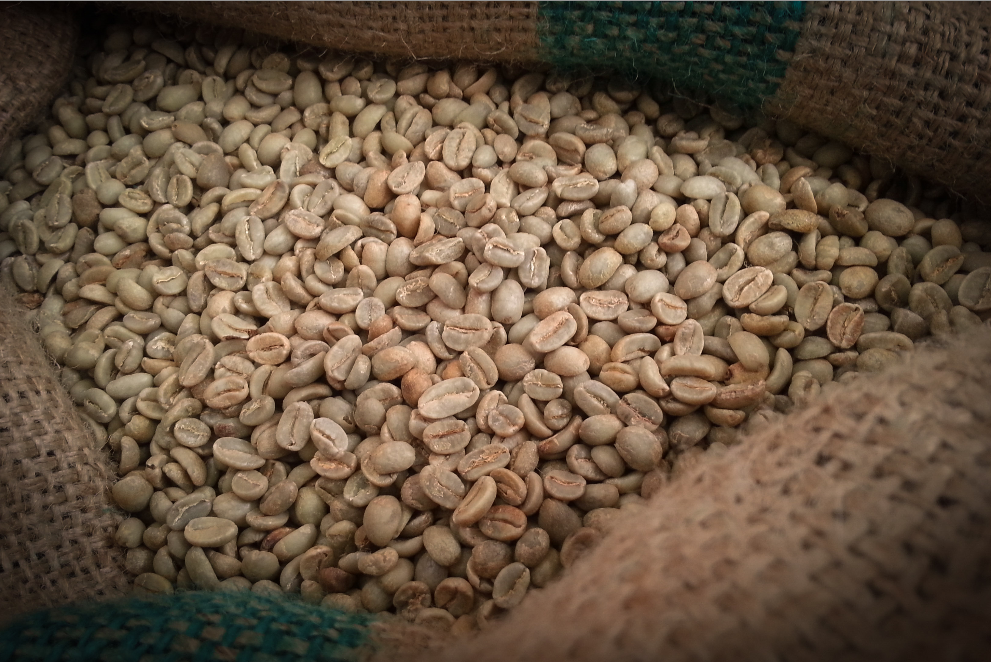 Explore the World in a Cup: Coffee Origins at Custom Coffees